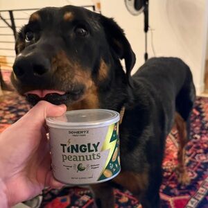 Meet your Posher, JJ